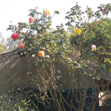 Dei Butteri - Hotel 2*